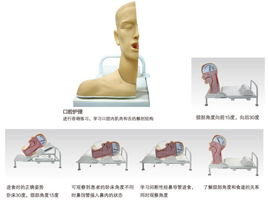 高級吞咽機(jī)制模型如何使用