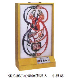 大、小循環(huán)電動(dòng)模型